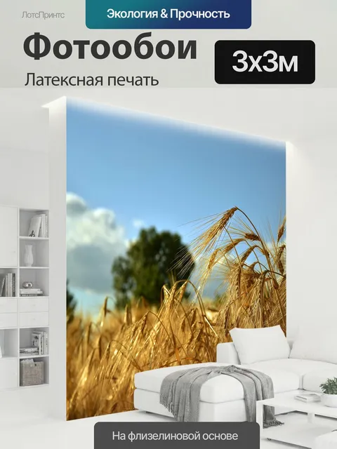 300 × 300 см · Латексная печать