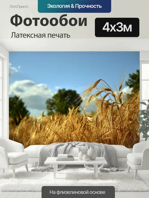 400 × 300 см · Латексная печать