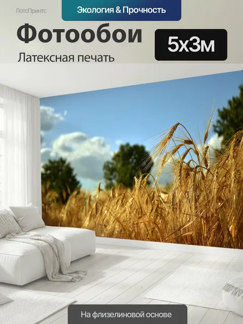 500 × 300 см · Латексная печать