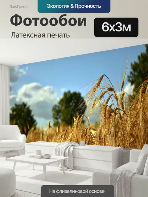 600 × 300 см · Латексная печать