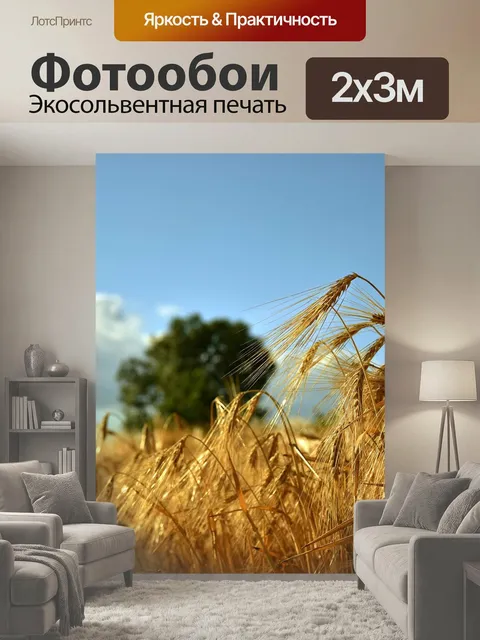 200 × 300 см · Экосольвентная печать