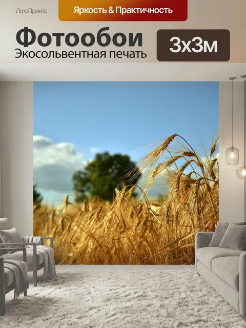 Фотообои Зерновое поле, поле, ячменное поле