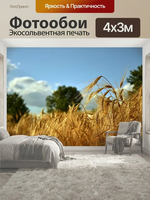 400 × 300 см · Экосольвентная печать
