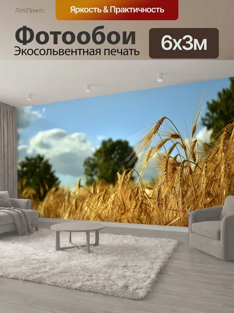 600 × 300 см · Экосольвентная печать