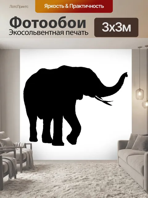 Фотообои Африканец, слон, изолированные