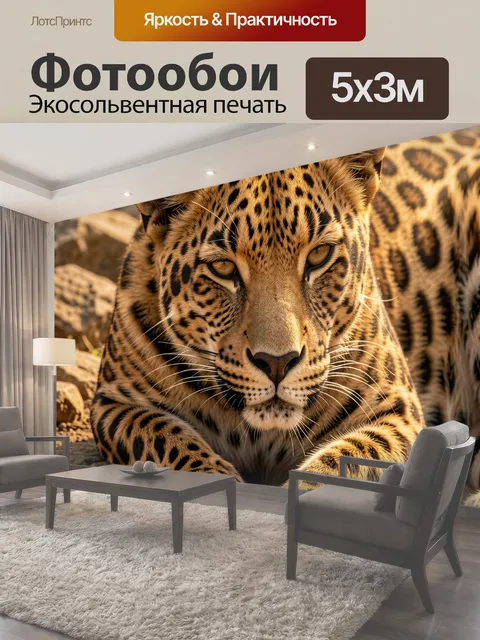 Фотообои Леопард на каменистой земле