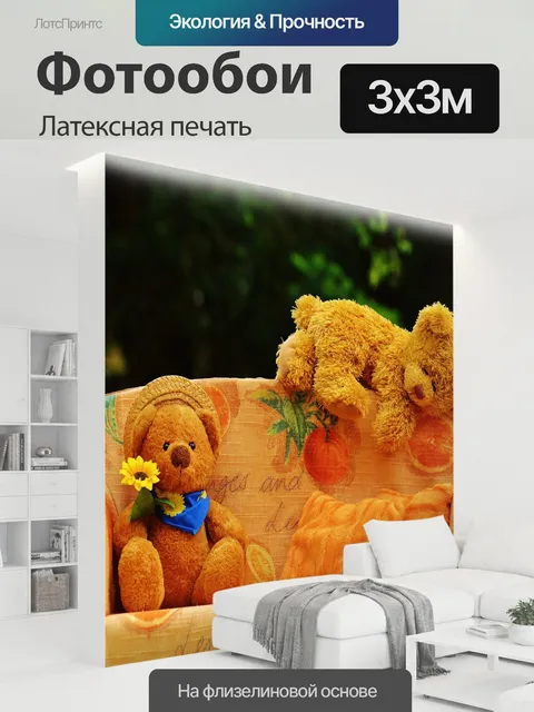 300 × 300 см · Латексная печать