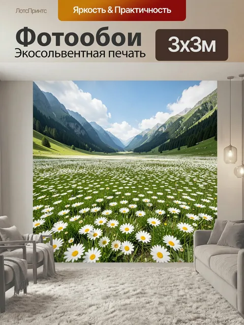 Фотообои Альпийская долина с ромашками. Широкая горная котловина с цветущим лугом, белыми полевыми ромашками и хвойным…