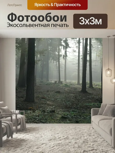 Фотообои Лес, деревья, туманный