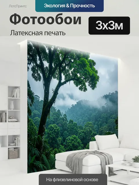 300 × 300 см · Латексная печать