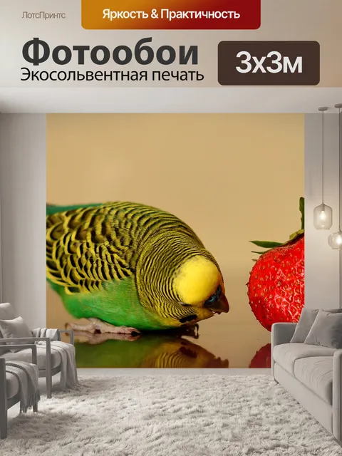 Фотообои Попугай, клубника, позитив
