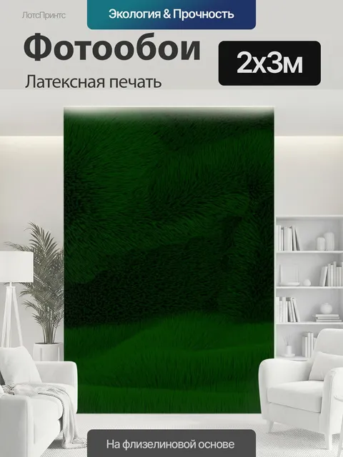 200 × 300 см · Латексная печать