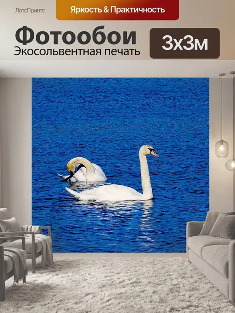 Фотообои Лебедь, вода, плавать