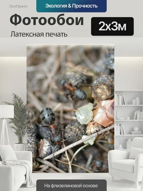 200 × 300 см · Латексная печать