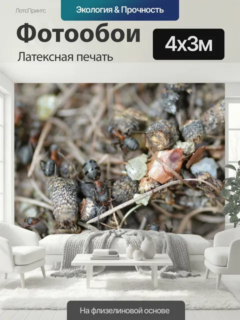 400 × 300 см · Латексная печать