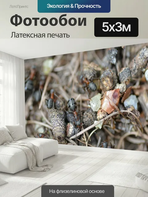 500 × 300 см · Латексная печать