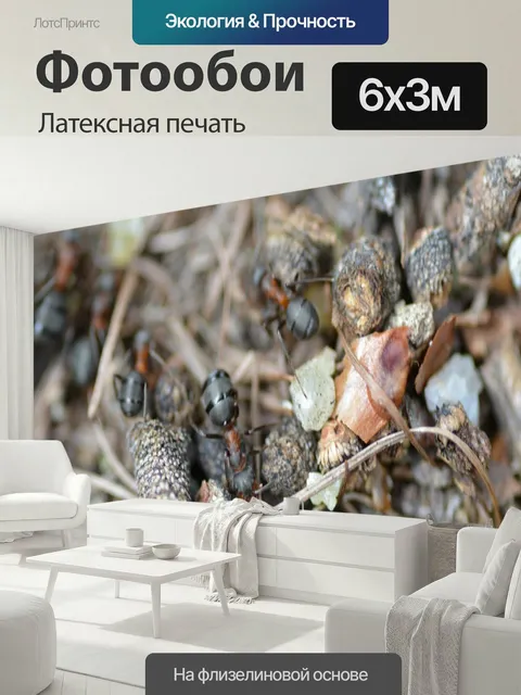 600 × 300 см · Латексная печать