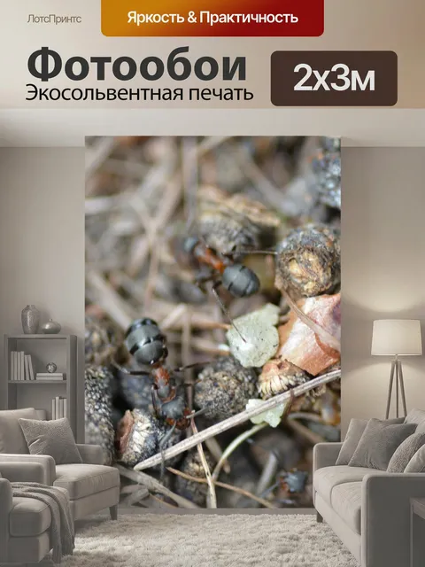 200 × 300 см · Экосольвентная печать