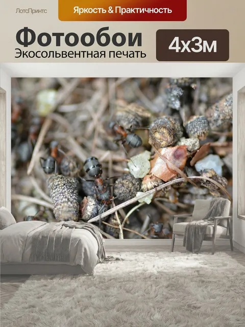 400 × 300 см · Экосольвентная печать