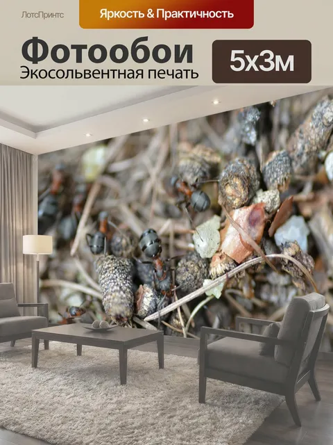 500 × 300 см · Экосольвентная печать