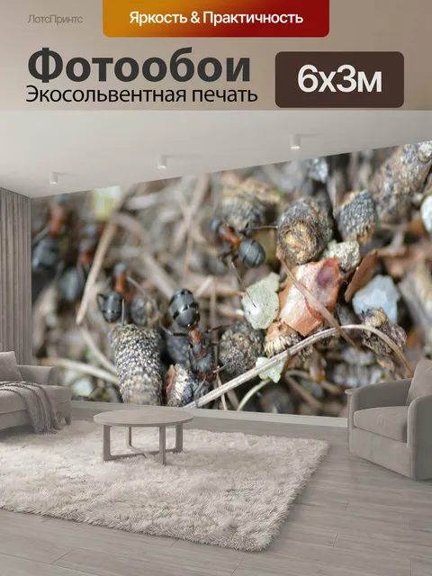 600 × 300 см · Экосольвентная печать