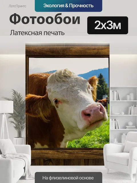 200 × 300 см · Латексная печать