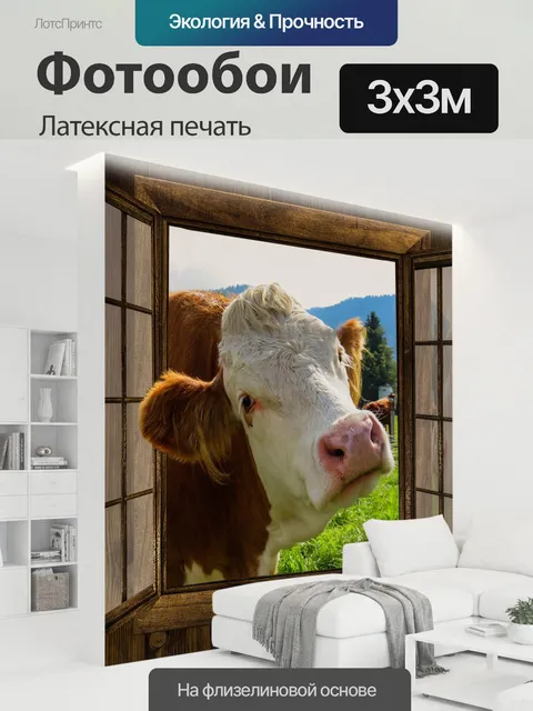 300 × 300 см · Латексная печать