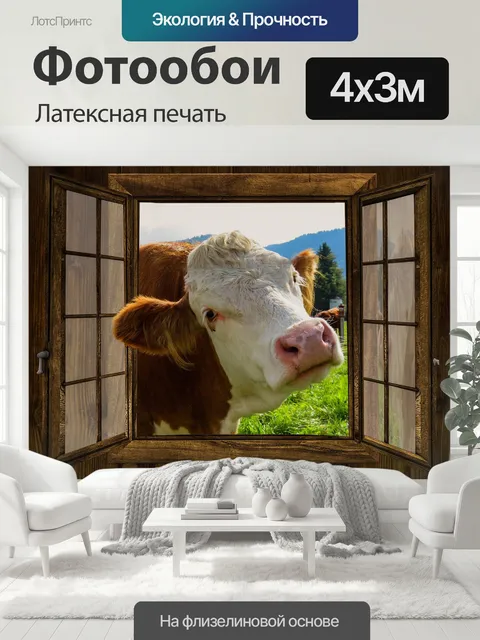 400 × 300 см · Латексная печать