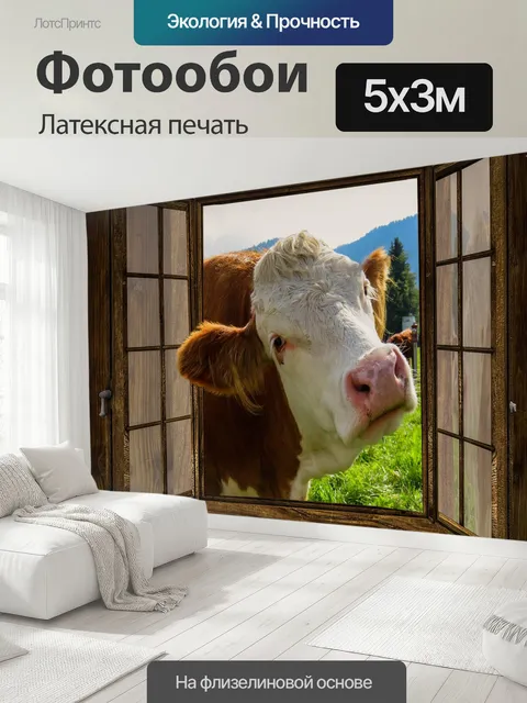 500 × 300 см · Латексная печать