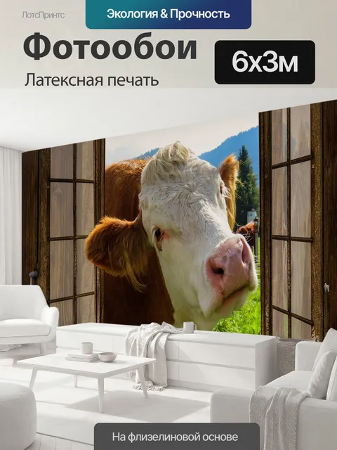 600 × 300 см · Латексная печать