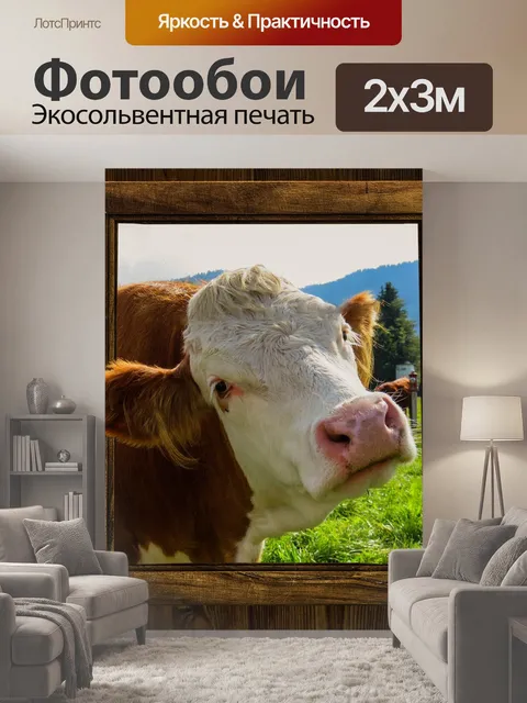200 × 300 см · Экосольвентная печать