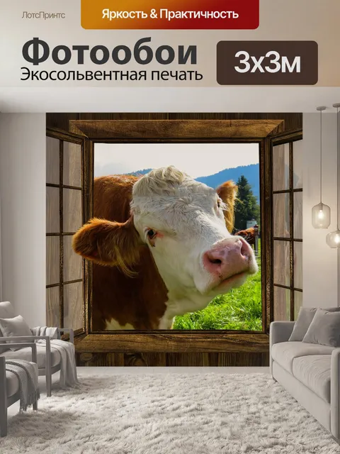 300 × 300 см · Экосольвентная печать