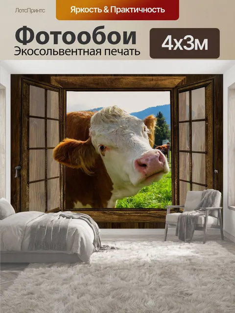 400 × 300 см · Экосольвентная печать