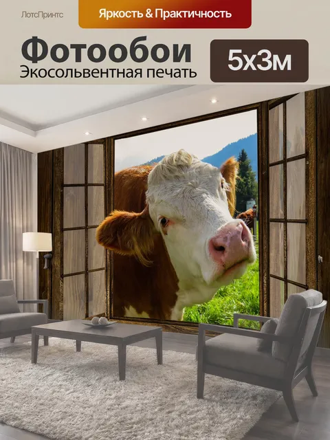 Фотообои Окно, корова, милостыня