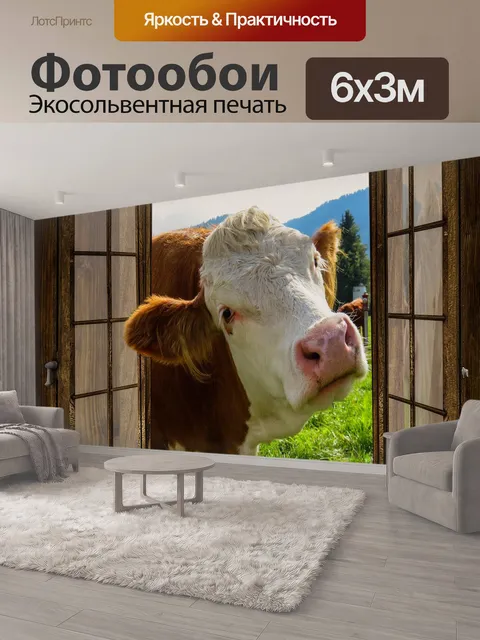 600 × 300 см · Экосольвентная печать
