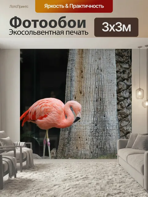 Фотообои Фламинго, розовый, птица