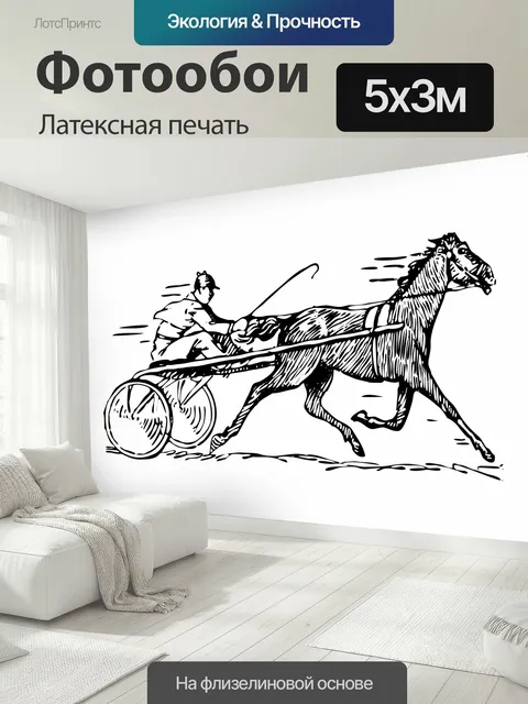500 × 300 см · Латексная печать