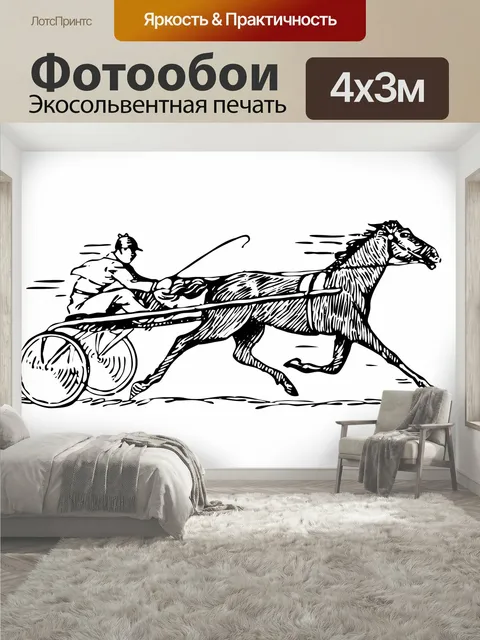 400 × 300 см · Экосольвентная печать