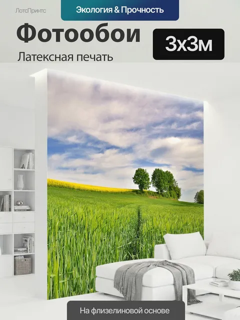 300 × 300 см · Латексная печать