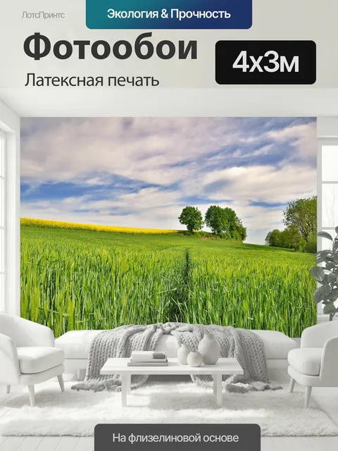 400 × 300 см · Латексная печать