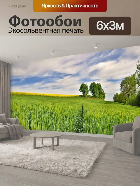 600 × 300 см · Экосольвентная печать
