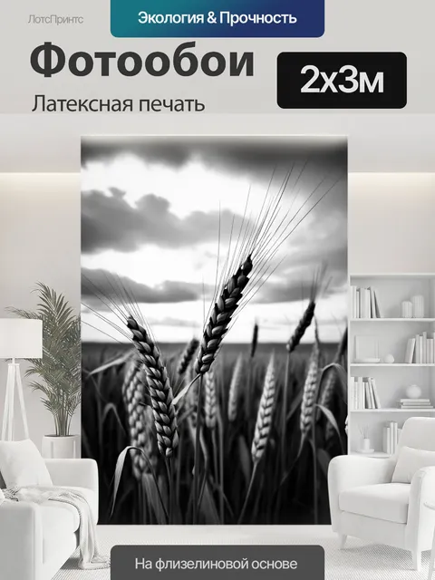 200 × 300 см · Латексная печать