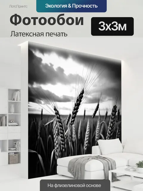 300 × 300 см · Латексная печать