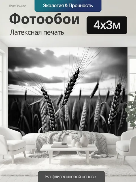 400 × 300 см · Латексная печать