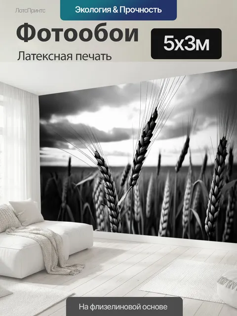 500 × 300 см · Латексная печать