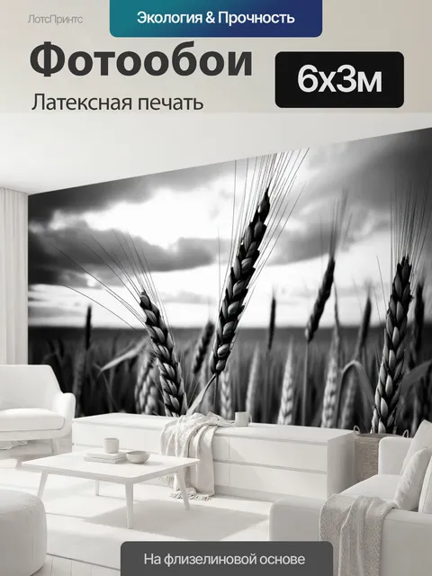 600 × 300 см · Латексная печать