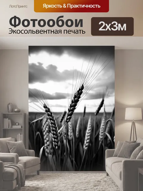 200 × 300 см · Экосольвентная печать