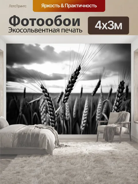 400 × 300 см · Экосольвентная печать