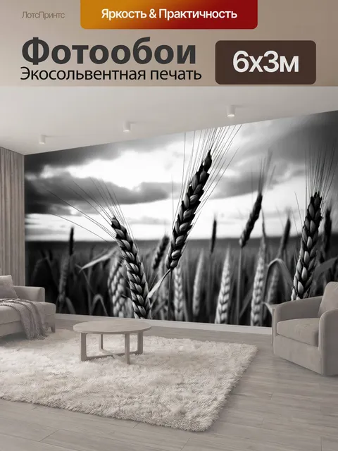 600 × 300 см · Экосольвентная печать