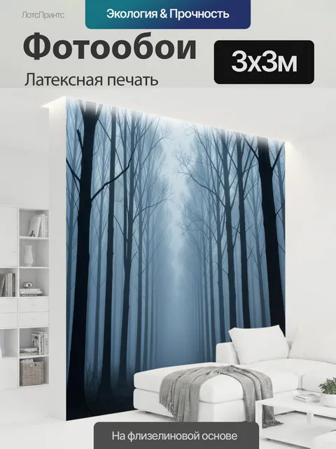 300 × 300 см · Латексная печать